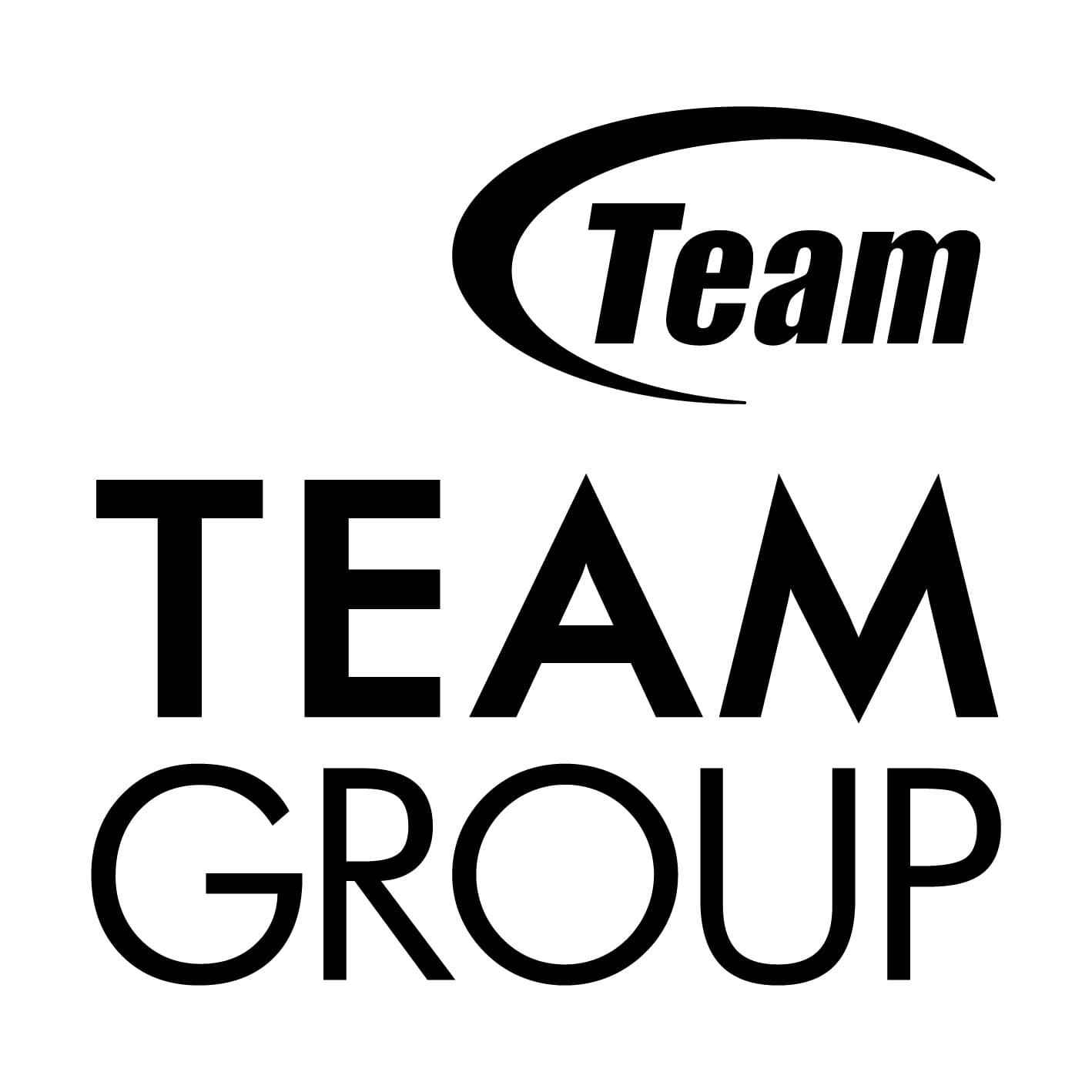 Team Group Inc. logo