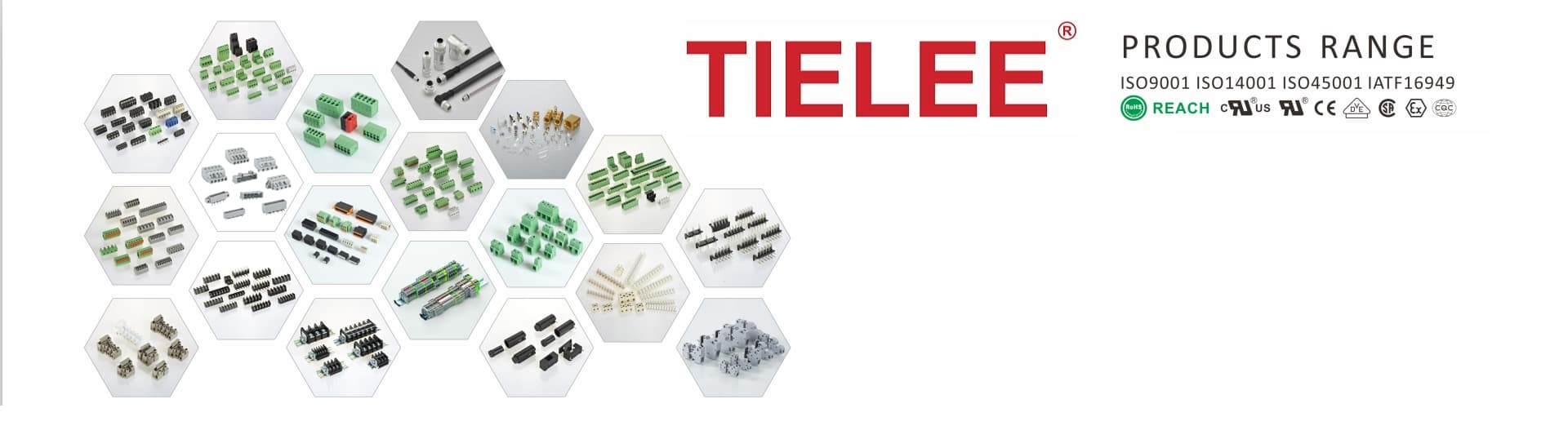 Tianli Electrical Machinery (Ningbo) Co.,Ltd.